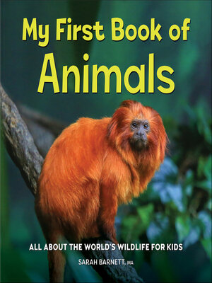 cover image of My First Book of Animals